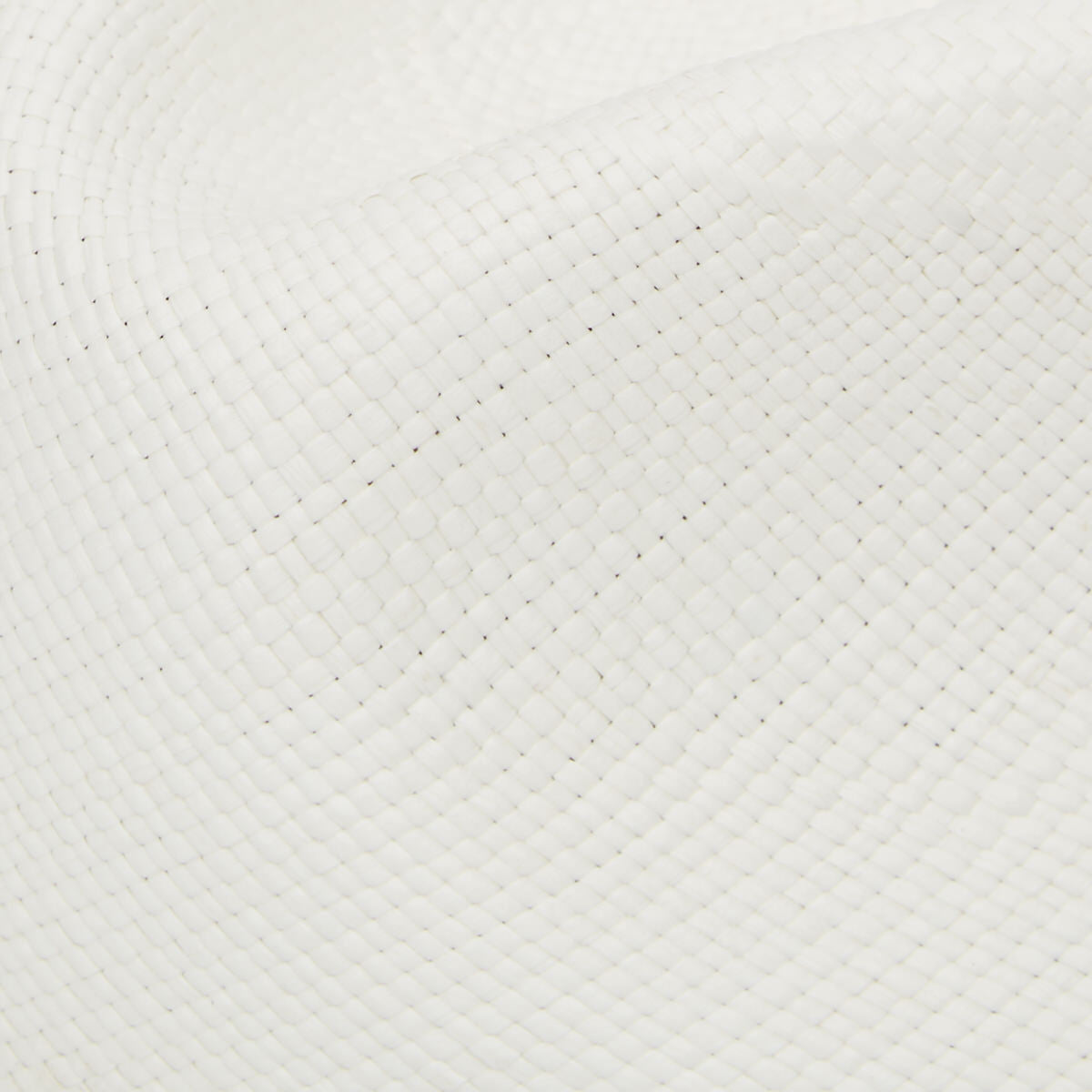 Classic Yorkie Panama Hat with Black Band & Cream Binding