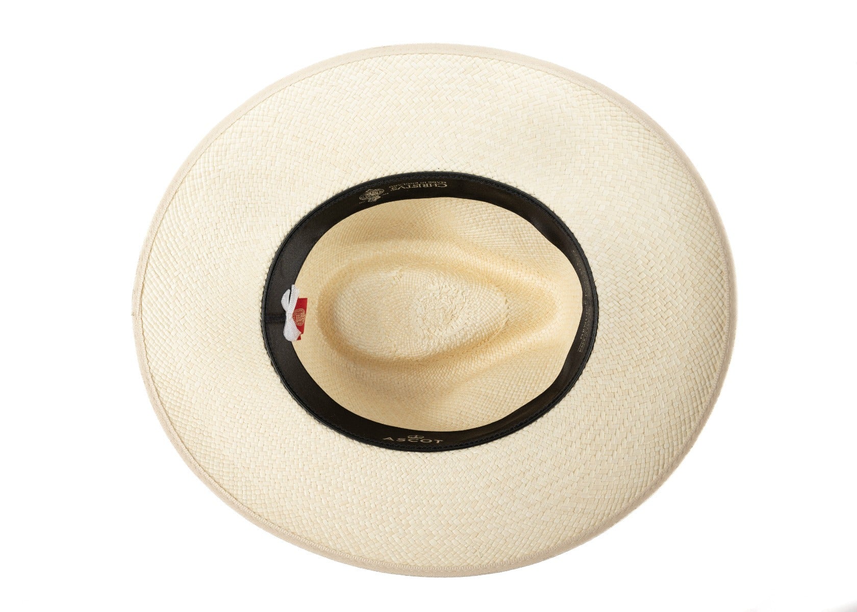 Ascot Caprio down brim Panama