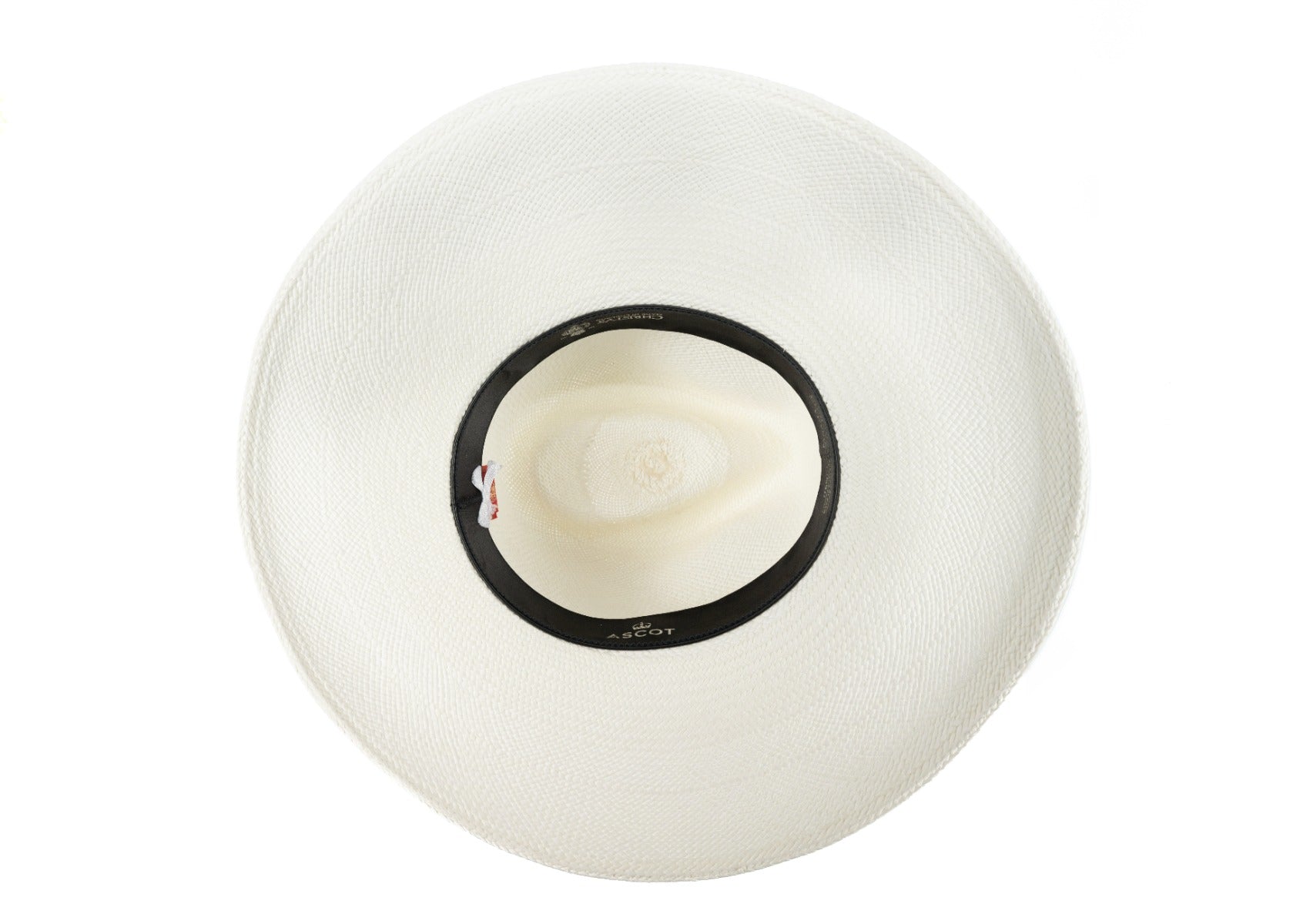 Ascot Unicus wide brim Panama
