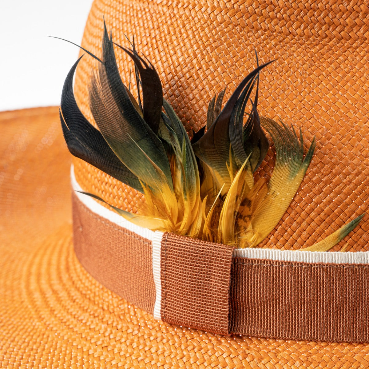 Wide Brim Panama in Orange