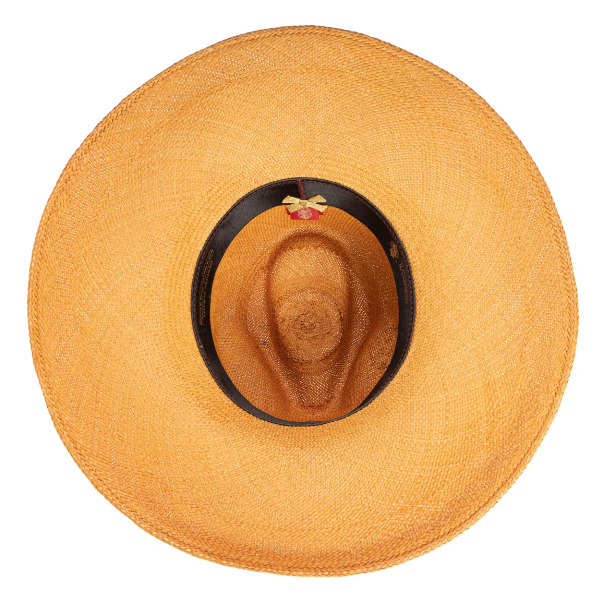 Wide Brim Panama in Orange